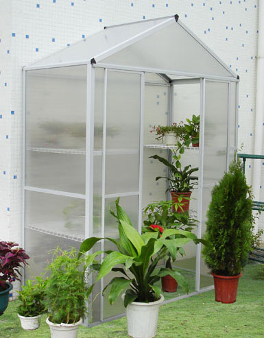  Medium-Sized Aluminum Greenhouse