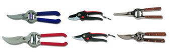  Pruning Shears (Scheren)
