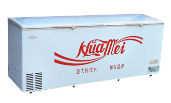  Single-Temperature Foam Top Cover Chest Freezer ( Single-Temperature Foam Top Cover Chest Freezer)