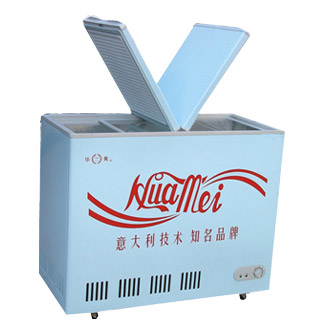  Single-Temperature Foam Folding Door Chest Freezer ( Single-Temperature Foam Folding Door Chest Freezer)