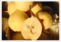 Ya Pear (Ya Pear)