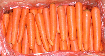  Carrot (Морковь)