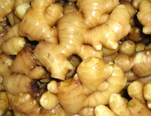 Ginger (Ginger)