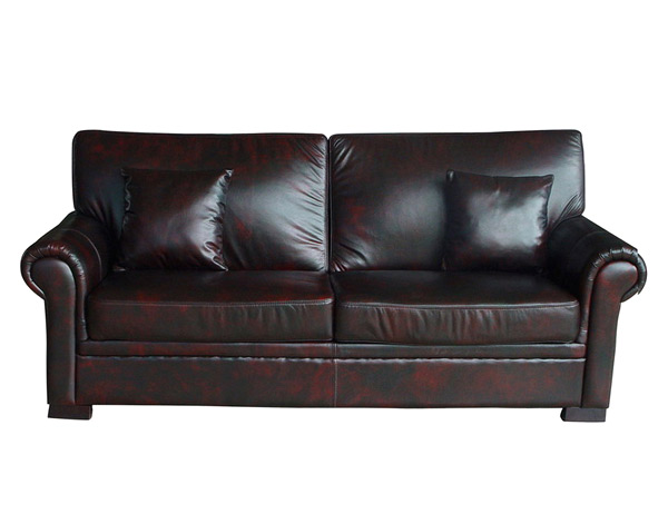  Leather Sofa (Canapé cuir)