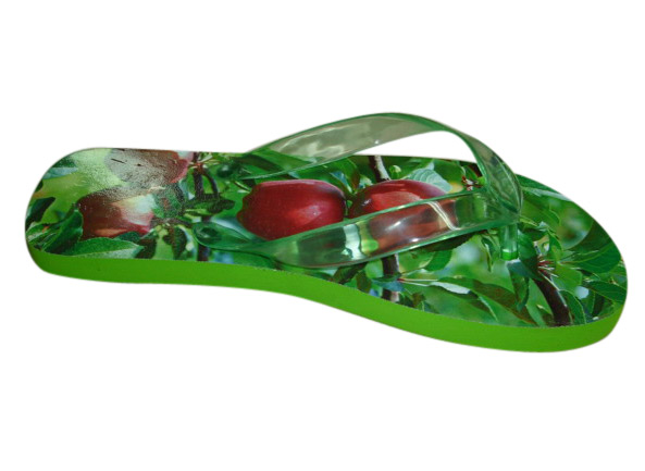  PE Slippers (PE Chaussons)