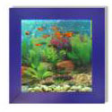  Wall Mounted Aquarium
