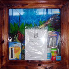  Mini Wall Aquarium ( Mini Wall Aquarium)