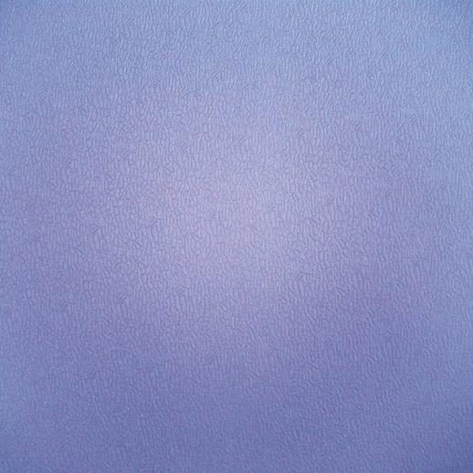  Sport Mat (Purple) (Спорт Мат (фиолетовый))