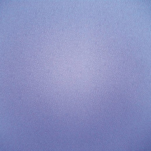 Sport Mat (Purple) (Sport Mat (Purple))