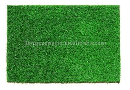  Synthetic Landscaping Turf (Синтетические Ландшафтный Turf)