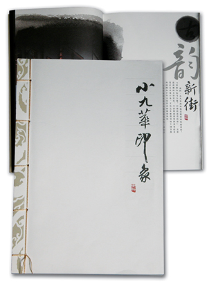  Brochures, Catalogues, Books