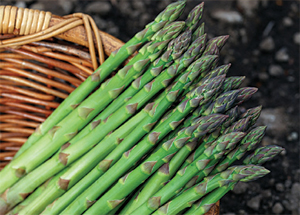  Frozen Green Asparagus (Frozen grüner Spargel)