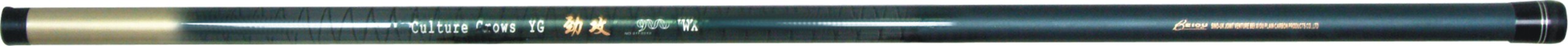  Carbon Fishing Rod (Carbon canne à pêche)