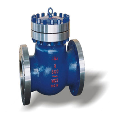 Swing Check Valve ( Swing Check Valve)