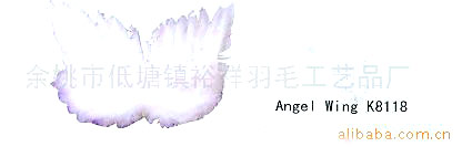 Feather Angel Wing