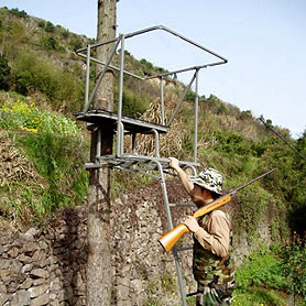  Hunting Tree Stand (Hunting Tree Stand)