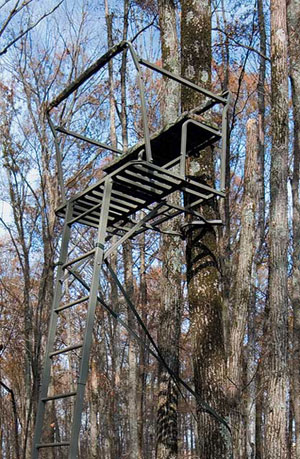  Ladder Tree Stand (Лестницы древостоя)