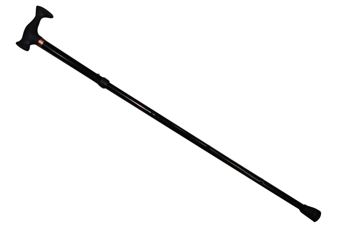  Walking Stick ( Walking Stick)