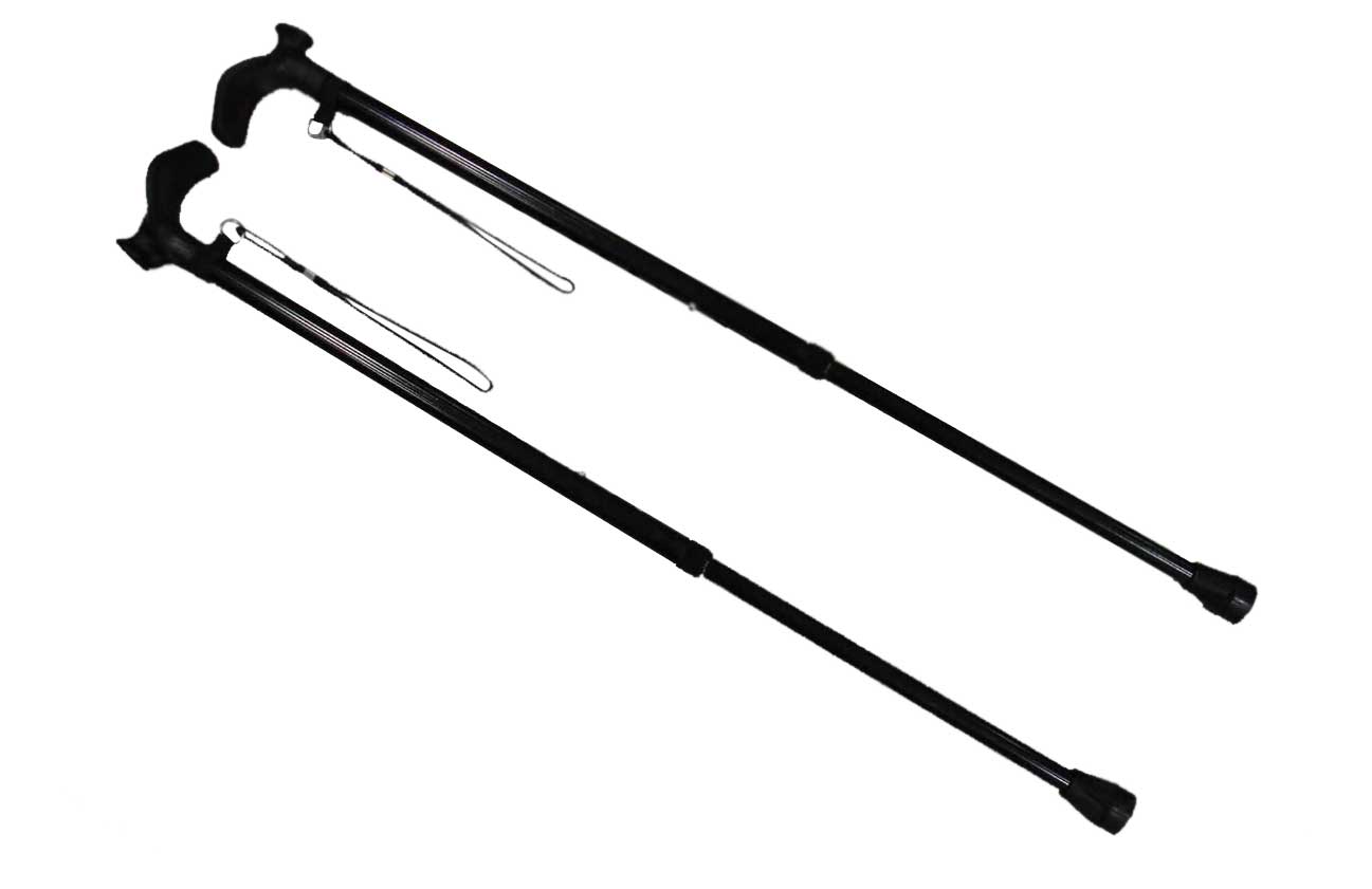  Walking Stick ( Walking Stick)