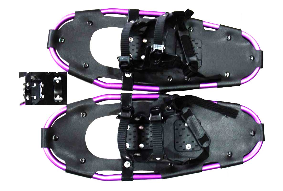  Snowshoe ( Snowshoe)