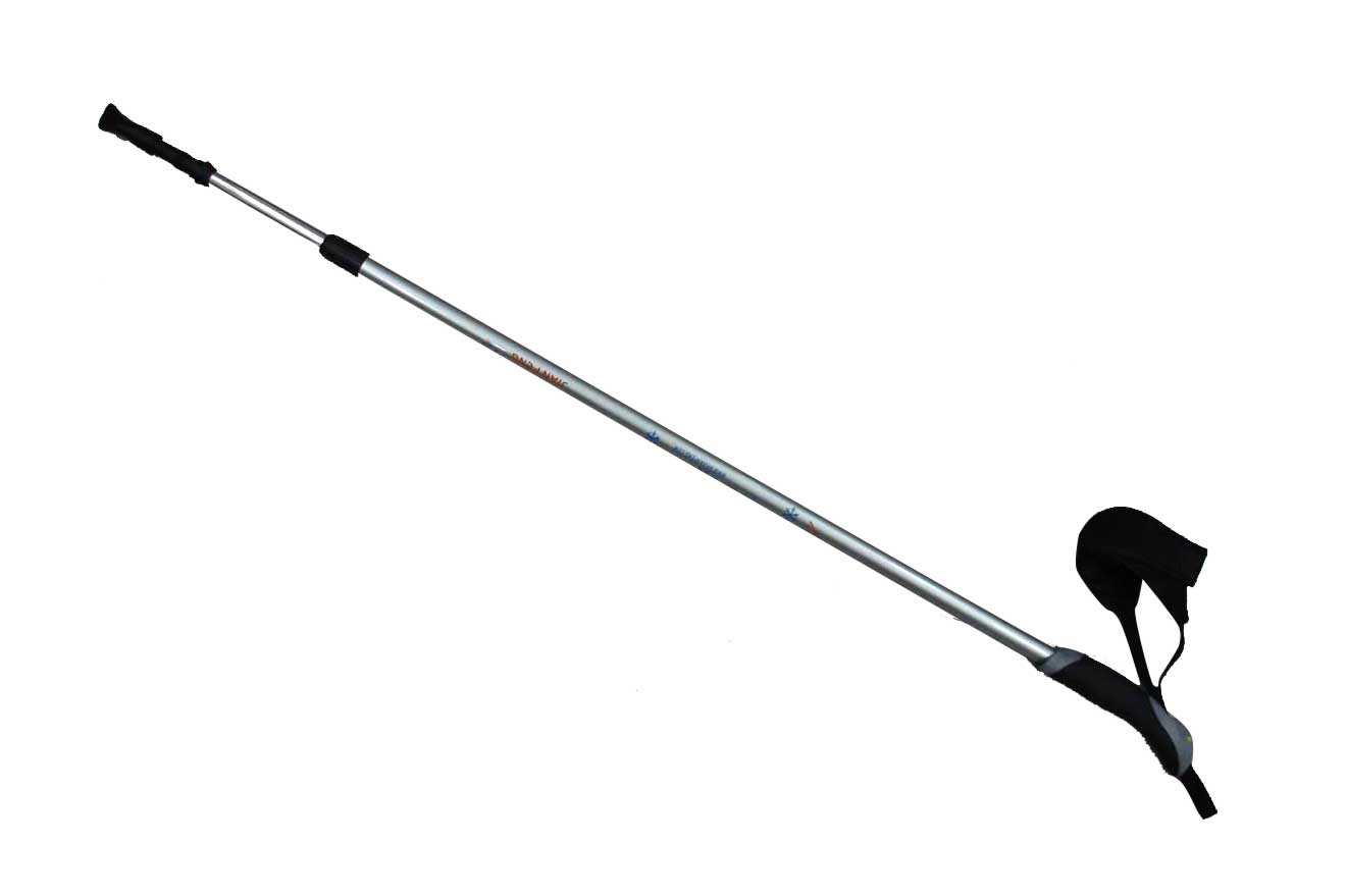  Walking Stick