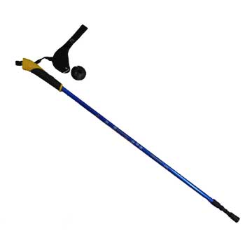  Walking Stick ( Walking Stick)