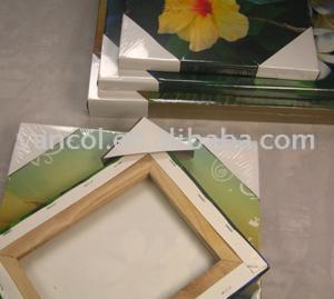  Giclee printed canvas ( Giclee printed canvas)