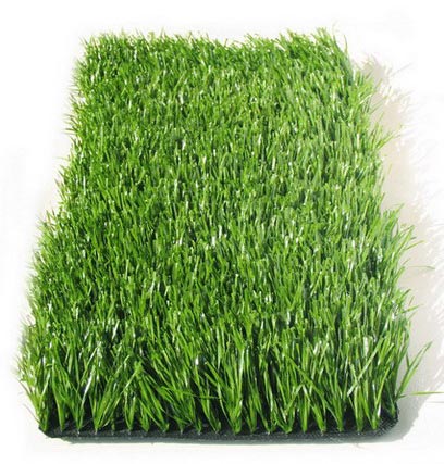  Synthetic Soccer Grass ( Synthetic Soccer Grass)