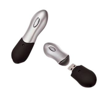  Flash Disk ( Flash Disk)