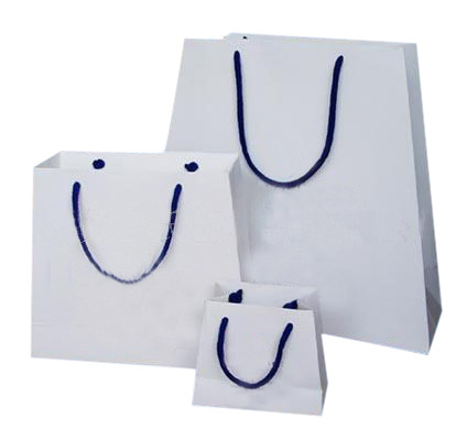 Paper Bag (Paper Bag)
