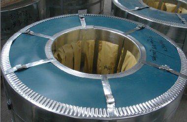  Strip Steel (Feuillard d`acier)