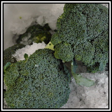  Fresh Broccoli (Свежая брокколи)