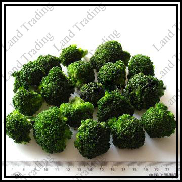 Frozen Broccoli (Frozen Broccoli)