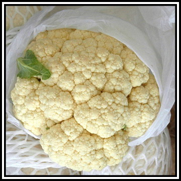  Fresh Cauliflower (Свежая цветная капуста)