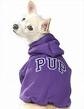 Pet Clothes (Pet Clothes)