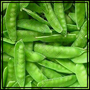  Frozen Snow Pea