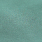  Microfiber Moss Peach Skin Fabric ( Microfiber Moss Peach Skin Fabric)
