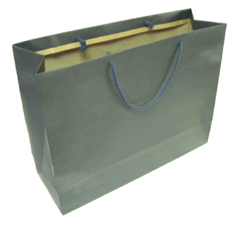  Paper Bag (Paper Bag)
