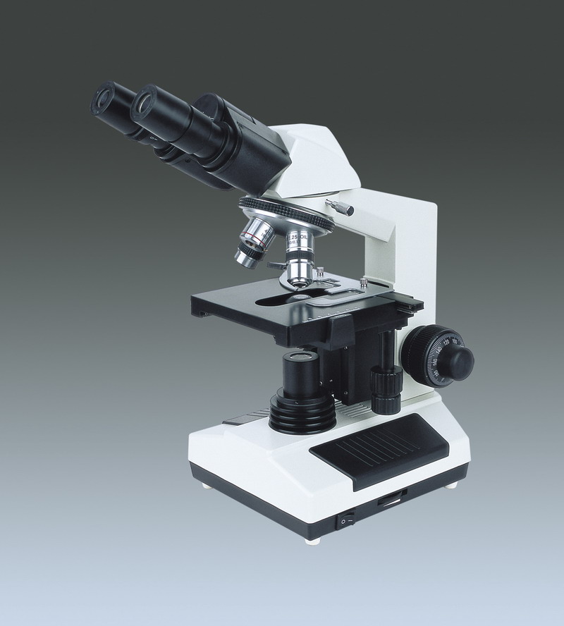 Microscope (Mikroskop)