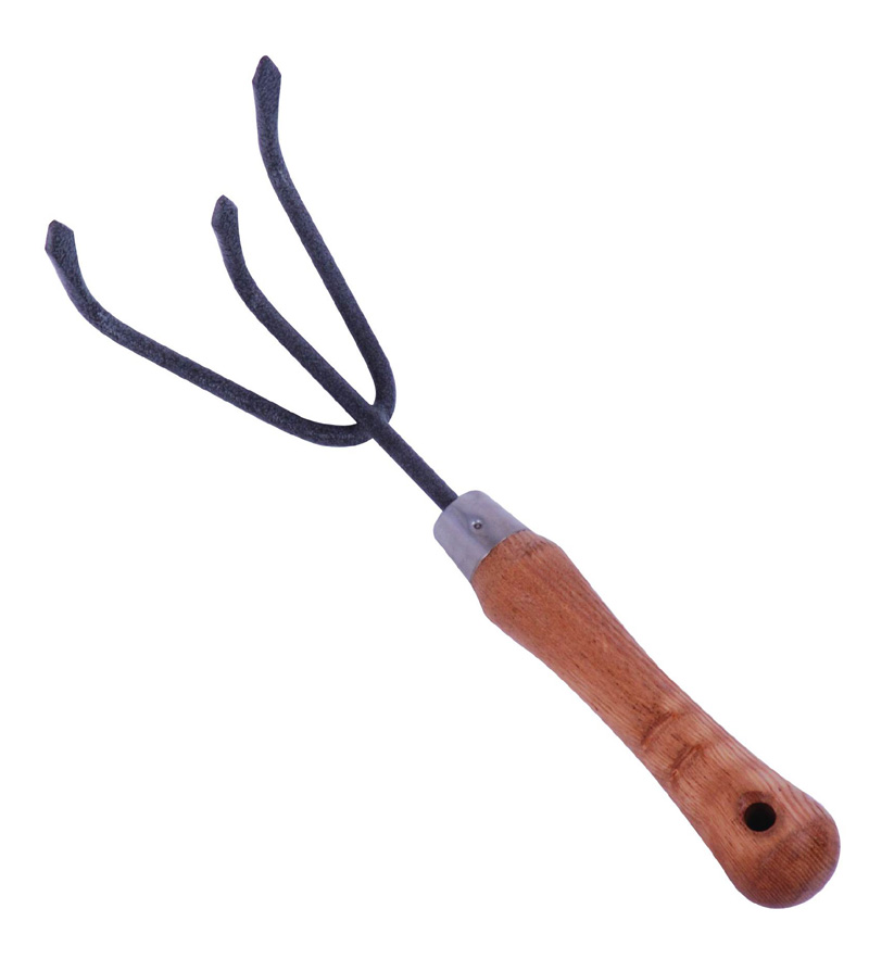  Carbon Steel Cultivator with Ash Wood Handle (Cultivateur en acier au carbone avec Ash Manche Bois)