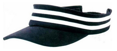  Sun Visor