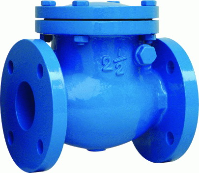  BS Check Valve (Б. Обратный клапан)
