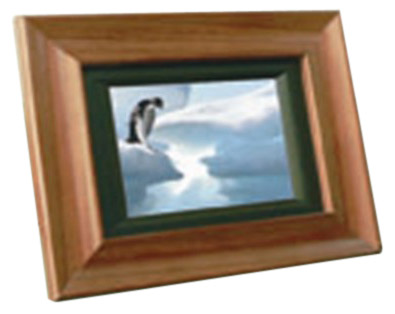  Digital Photo Frame (Cadre photo numérique)