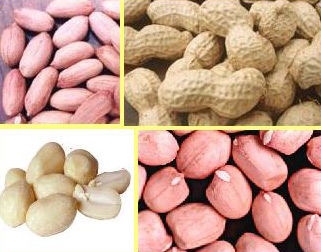  Peanuts Kernel