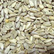  Sunflower Kernel ( Sunflower Kernel)