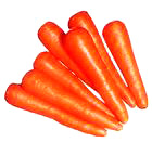  Carrot (Möhre)