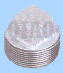  Plug Plain ( Plug Plain)