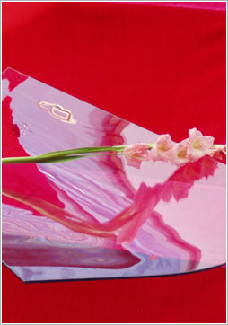  Glass of Shower room ( Glass of Shower room)