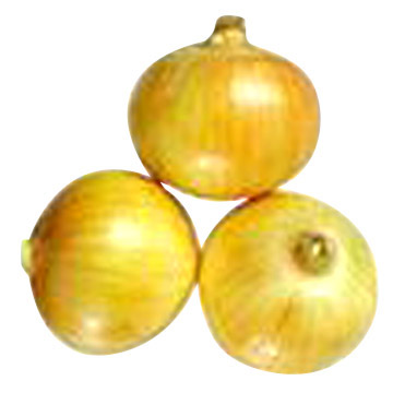  Onion (Лук)