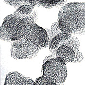  Columbian Carbon Blacks ( Columbian Carbon Blacks)